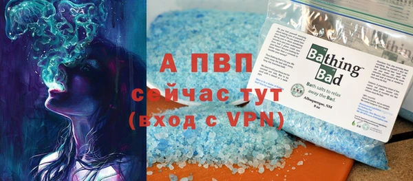 твердый Осинники