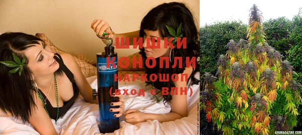 молекула духа Новокубанск