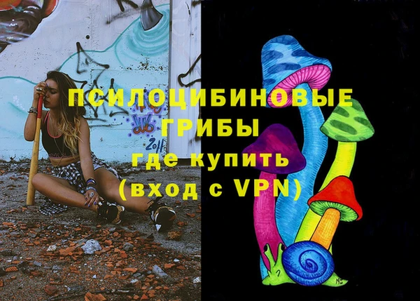 бошки Няндома