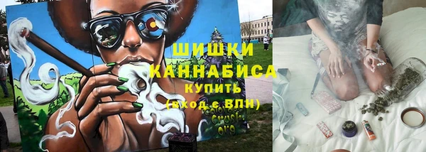 бошки Няндома