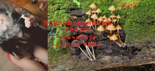 бошки Няндома