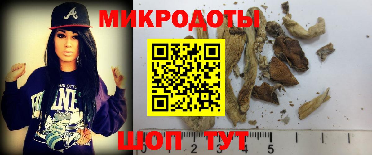 Псилоцибиновые грибы Psilocybe  Галлюциногенные грибы ЛСД  Анапа  Вход с VPN 
